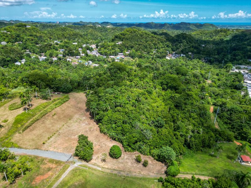 Bo. Galateo, Finca en Toa Alta